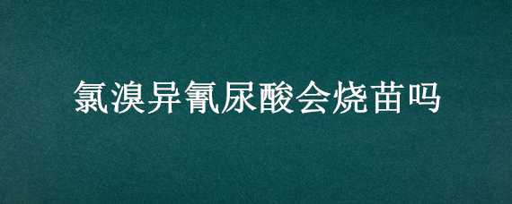 氯溴异氰尿酸会烧苗吗（氯溴异氰尿酸对幼苗有害吗）