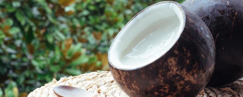 酒瓶椰子的养殖方法和注意事项（酒瓶椰子树冬天怎么养）