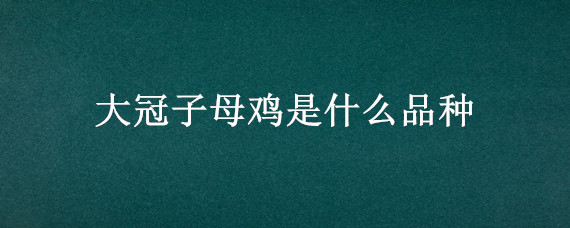 大冠子母鸡是什么品种 母鸡的冠子大红是什么品种