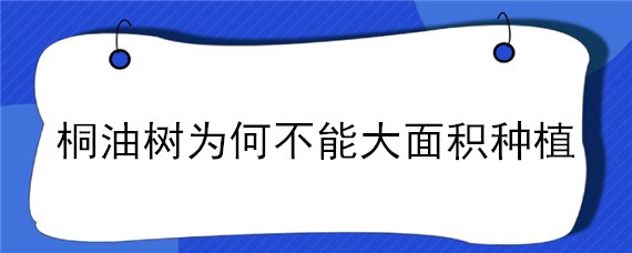 桐油树为何不能大面积种植 桐油树在中国什么地方能种