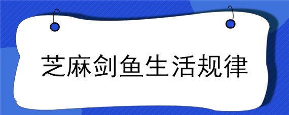 芝麻剑鱼生活规律（剑鱼的生活方式）