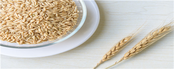 如何鉴别假劣杂交稻种子 杂交水稻是否有害