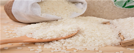 大米生产过程4步骤（大米生产工艺流程）
