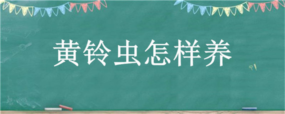 黄铃虫怎样养 黄蛉怎么养