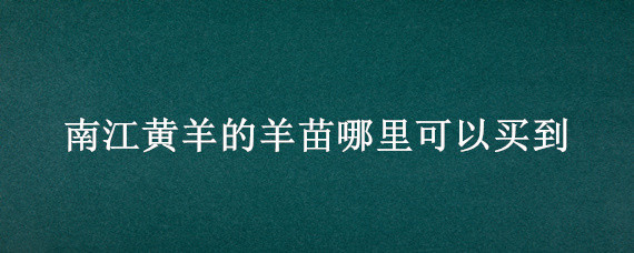 南江黄羊的羊苗哪里可以买到 四川南江黄羊羊苗怎么卖