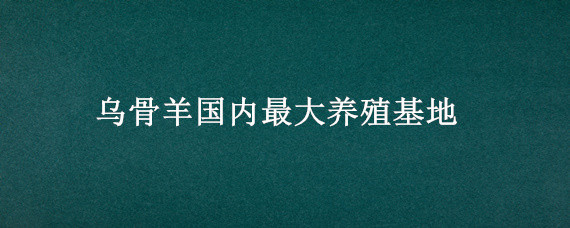 乌骨羊国内最大养殖基地 纯种乌骨羊养殖基地哪里有