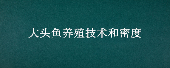 大头鱼养殖技术和密度（大头鱼养殖技术和密度水梅病是怎样医指）