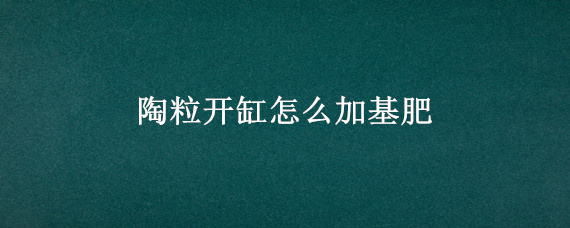 陶粒开缸怎么加基肥 陶粒基肥怎么放