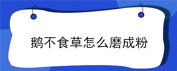 鹅不食草怎么磨成粉 鹅不食草粉的使用方法