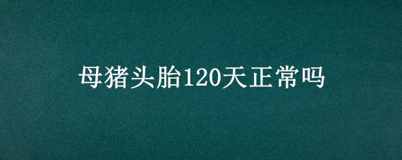 母猪头胎120天正常吗 母猪120天生产正常吗