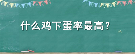 什么鸡下蛋率最高 鸡的产蛋率