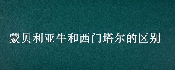 蒙贝利亚牛和西门塔尔的区别（蒙贝利亚牛和西门塔尔牛的区别）