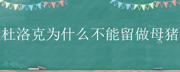 杜洛克为什么不能留做母猪 杜洛克配大白母猪下的猪可以留母猪吗