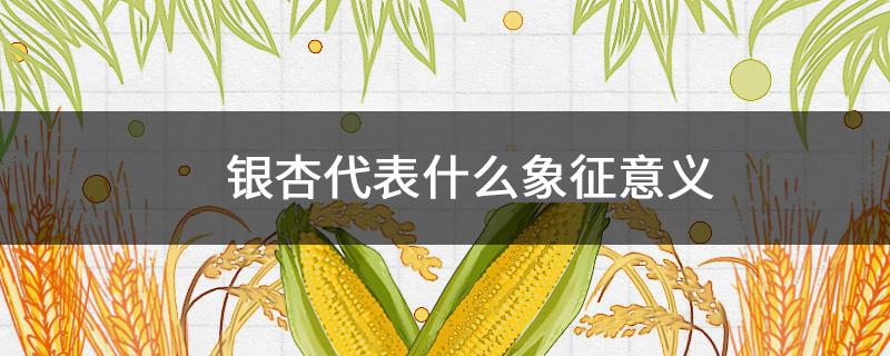 银杏代表什么象征意义 银杏代表什么象征意义四字词语