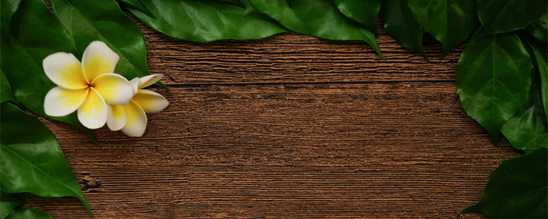 鸡蛋花扦插时间 鸡蛋花扦插时间和温度