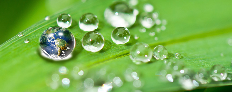 体会水和光对于植物生长的重要性（水和光对于植物生长的重要性有哪些）