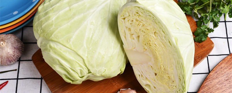 叶菜类蔬菜有哪些（叶菜类蔬菜有哪些种类）