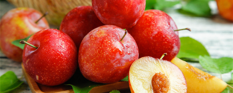 三华李种植管理技术 三华李种植管理技术视频