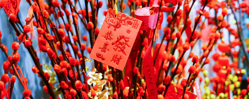 银柳的花语和寓意 银柳的花语和寓意诗词