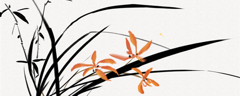 金边吊兰叶子发黄怎么办 金边吊兰叶片发黄