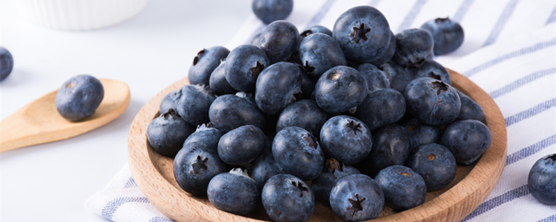 蓝莓什么时候开花（蓝莓什么时候开花结果视频）