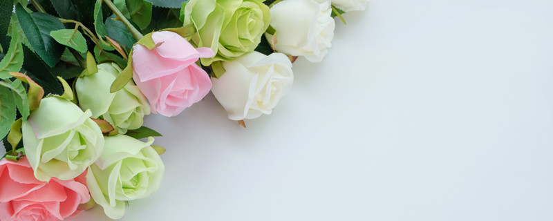 绿玫瑰花语（黑玫瑰花语）