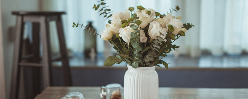 玫瑰花生长周期 玫瑰花的开花周期