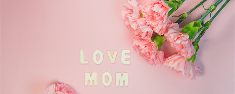 粉色康乃馨花语是什么 粉色康乃馨花语是什么意思