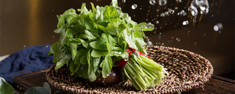 苋菜喜欢什么肥料（苋菜施什么肥）