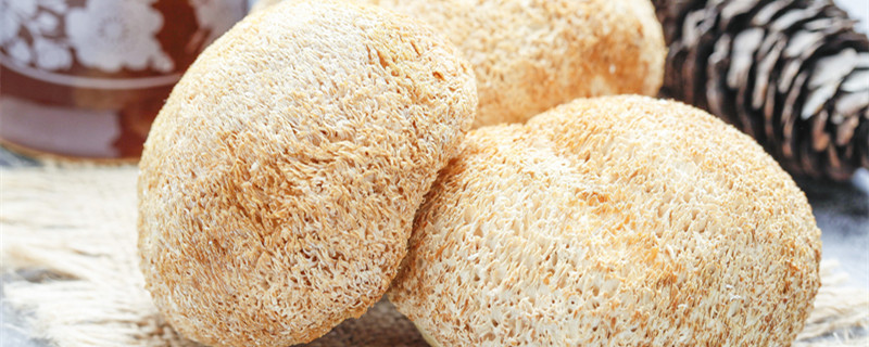 猴头菇怎么泡发 猴头菇怎么泡发3种方法