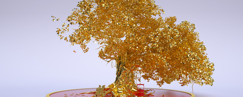 发财树养殖方法（发财树的养殖方法和浇水几天浇一次水）