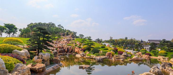 罗汉松的寓意象征是什么（罗汉松树的寓意）