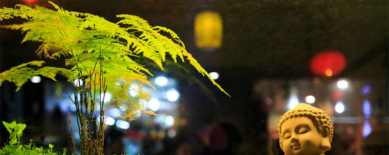 文竹开花寓意什么兆头(文竹开花寓意什么兆头山东油源万发新能源环保染料集团)