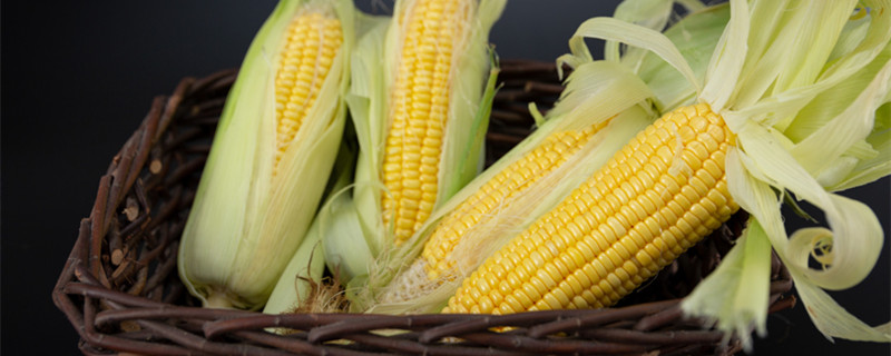 玉米须是玉米的什么器官 玉米须是植物的什么器官