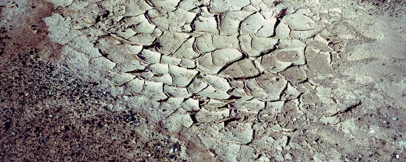 培养土如何配制，培养土的配制过程（培养土使用方法）