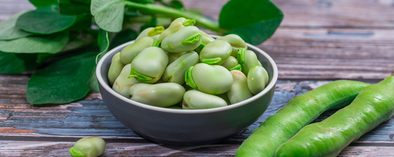 春季蔬菜种植品种（春季蔬菜种类）