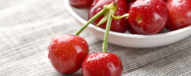 樱桃嫁接时间和方法（樱桃嫁接时间和方法视频）