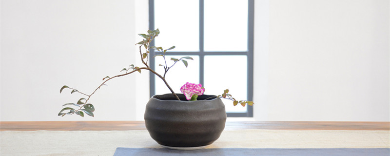 自制氮肥有哪些（自制磷肥有哪些）