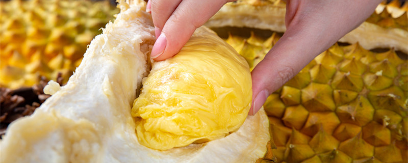 榴莲一天最多吃多少（榴莲一天能吃多少）