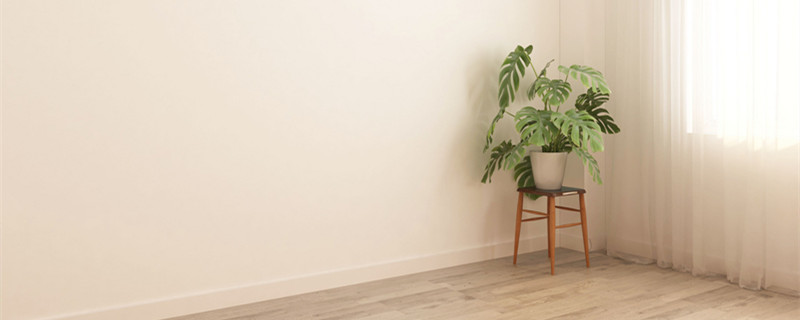 发财树修剪后伤口处理方法（发财树修剪完怎么处理）