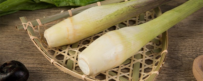 茭白是什么（茭白是什么植物的根茎）