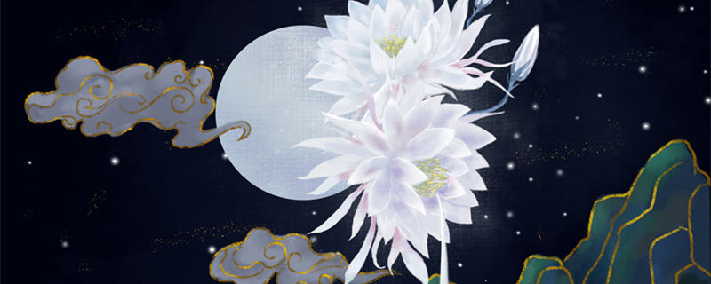 晚上开的花都有什么花 晚上开的花都有什么花,叶子大大的