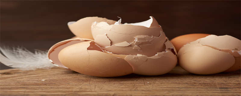 鸡蛋皮能作为养花的肥料吗（鸡蛋皮适合给什么花上肥）