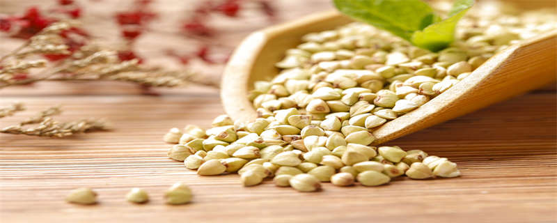 苦荞是什么植物（苦荞是什么植物的种子）