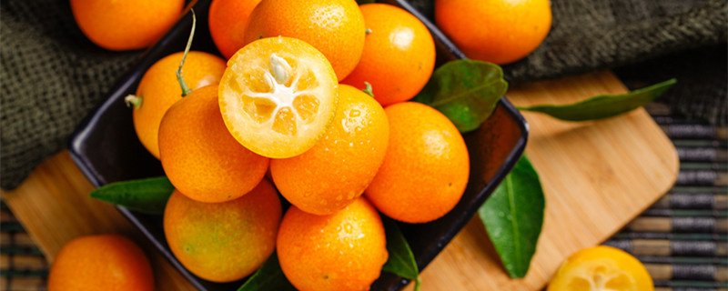 脆皮金桔盆栽的养殖方法和注意事项（盆栽脆皮金桔种植和管理）