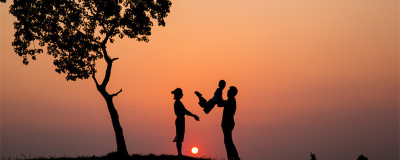 幸福树叶子掉光还能活吗(幸福树叶子全部掉光了该怎么养活)