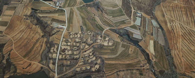 临沂七叶子是什么意思（山东七叶子啥意思）