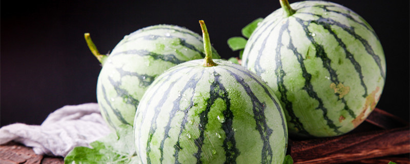 西瓜种子怎么种（西瓜种子怎么种植）