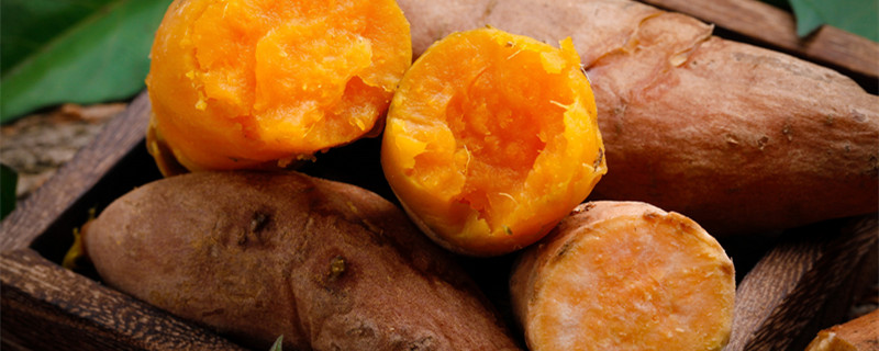 红薯蒸多久能熟（鸡蛋蒸多久能熟）