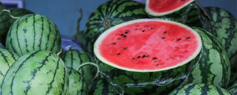 西瓜种植时间 西瓜种植时间是几月份